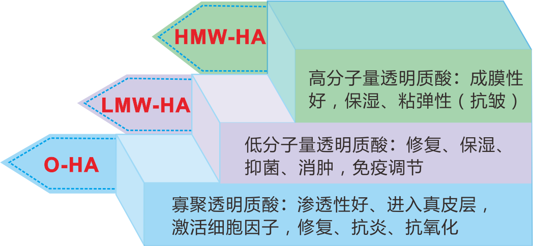 未命名 -2.png